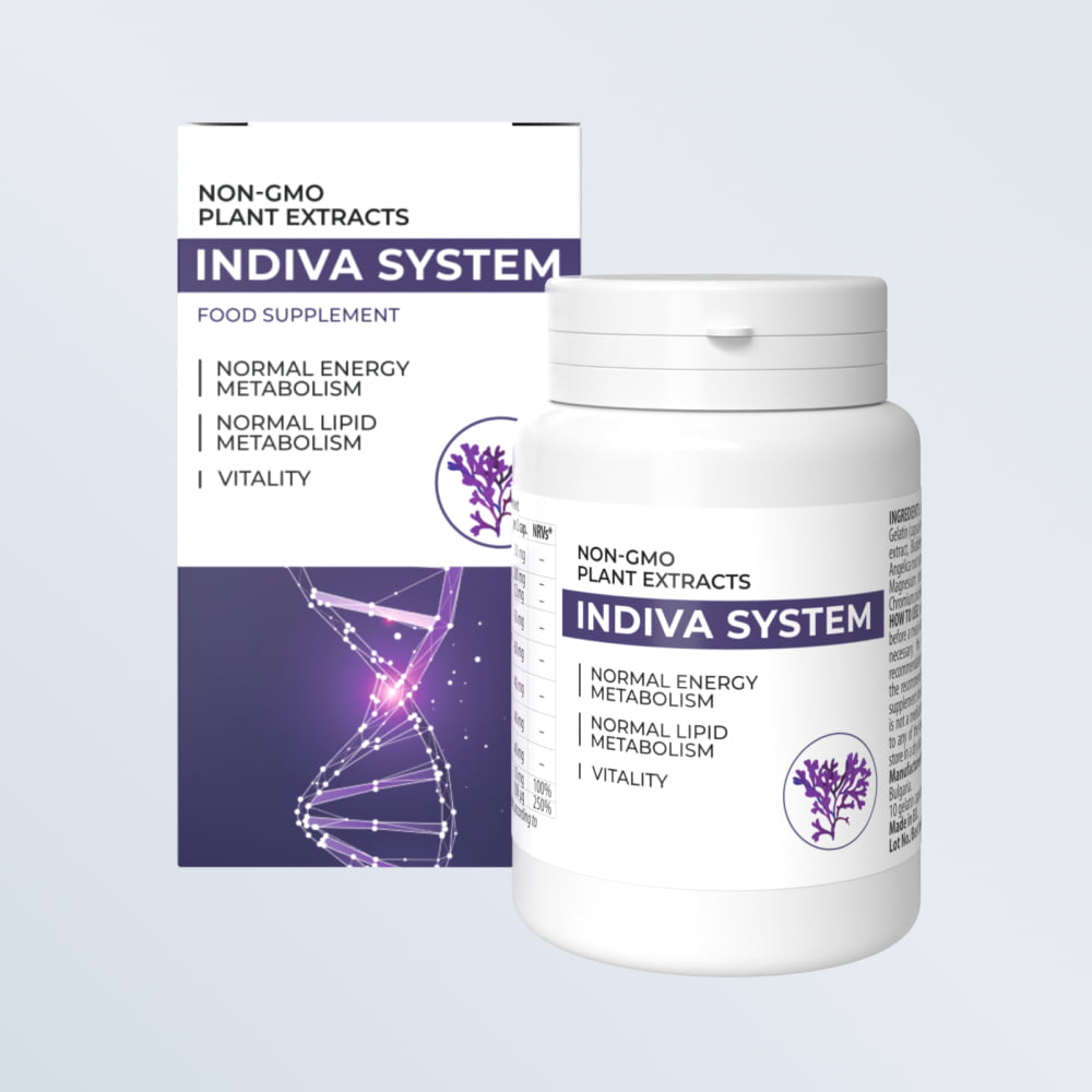 Indiva System Italia